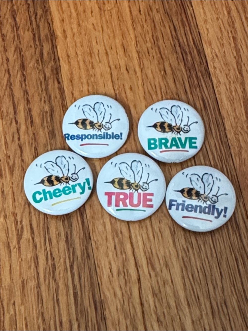 American Girl Vintage Grin Pins - Set of 5 (Bees)